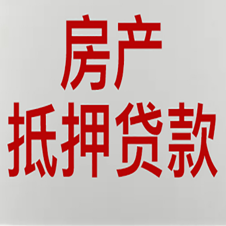 九台贷款公司新渝启服推荐选择